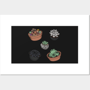 Cute Succulent Sticker Set 2 - Lithops, Ghost Plant, Heart Plant, Black Prince, Greenovia Rose Succulent Posters and Art